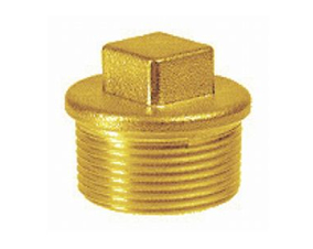 Tapón